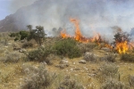 ۲ هکتار از مراتع بادله کوه شهرستان دامغان در آتش سوخت