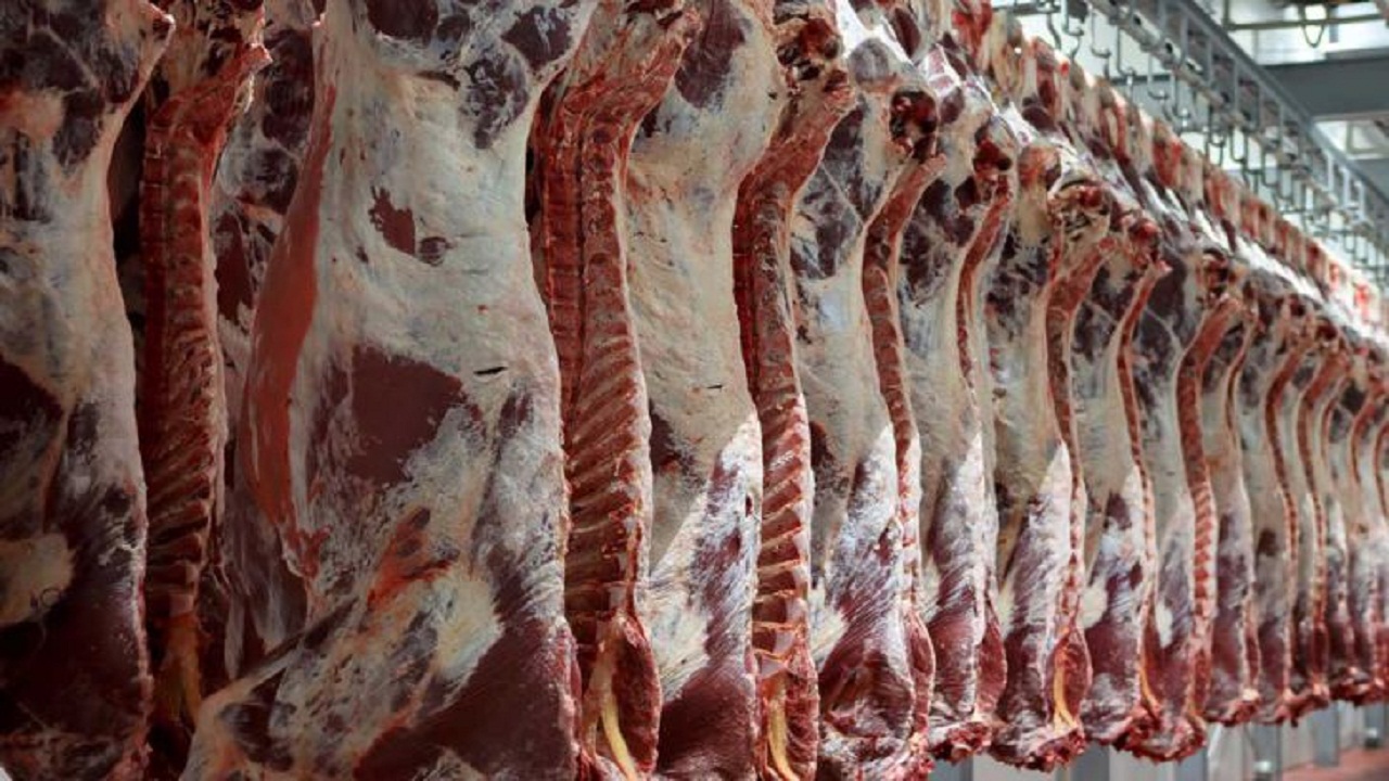 تولید گوشت قرمز توسط عشایر استان سمنان