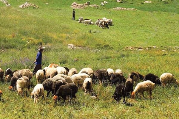۱۰۰میلیارد تومان به حوزه منابع طبیعی استان سمنان اختصاص یافت