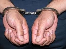 یک سارق سابقه‌دار در شاهرود دستگیر شد