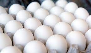 قیمت هر شانه تخم مرغ چقدر از نرخ مصوب کمتر است؟ + اعلام قیمت های جدید