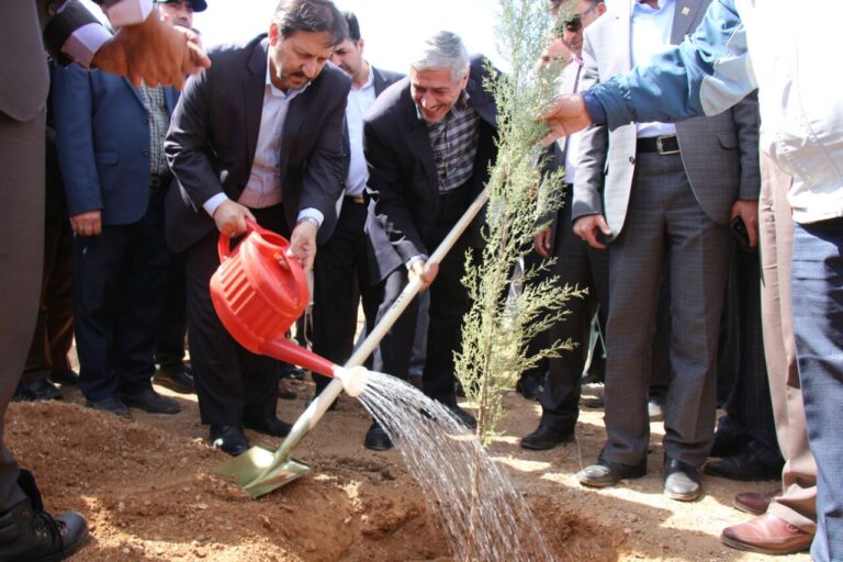 غرس نهال توسط استاندار سمنان در درجزین