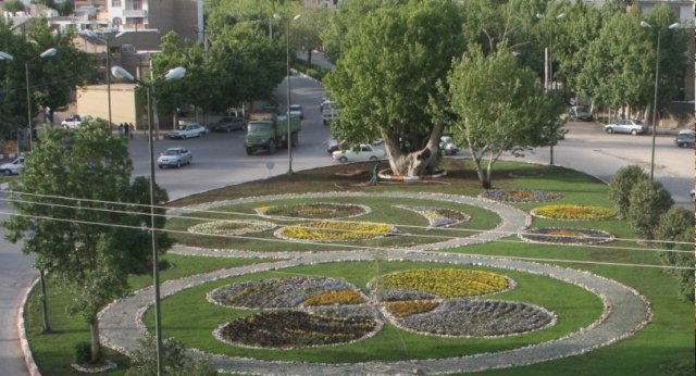 ثبت درخت کهنسال چنار سوخته شاهرود در فهرست میراث طبیعی ملی