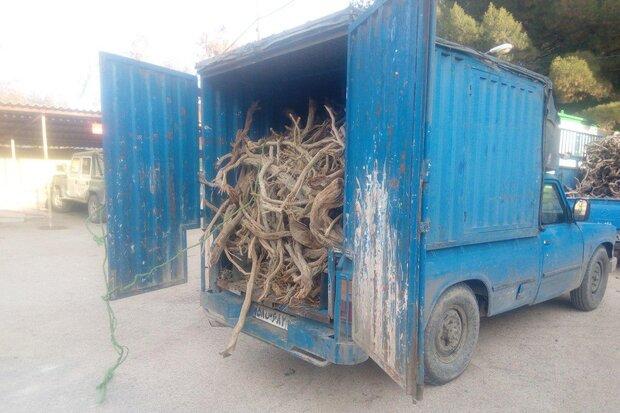 محموله چوب تاغ قاچاق در شهرستان دامغان توقیف شد