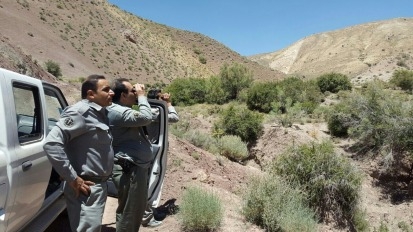 اعضای ۲ گروه شکار و صید در شهرستان سربیشه دستگیر شدند