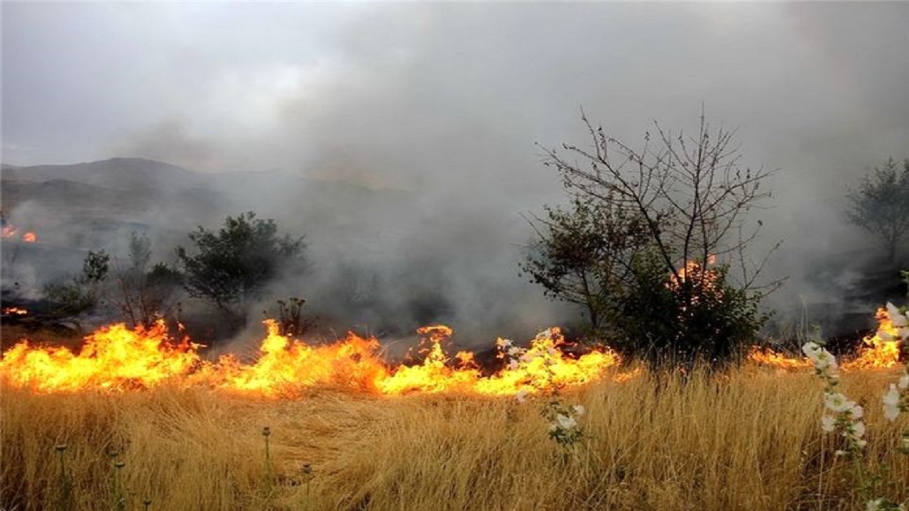 انجام اقدامات پیشگیرانه آتش سوزی و پیگیری کشف قاچاق چوب تاغ در استان سمنان