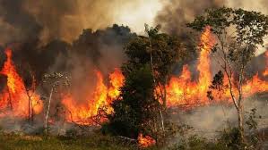 آتش‌سوزی در مراتع شهرستان مهدیشهر ۸۵ درصد کاهش یافت