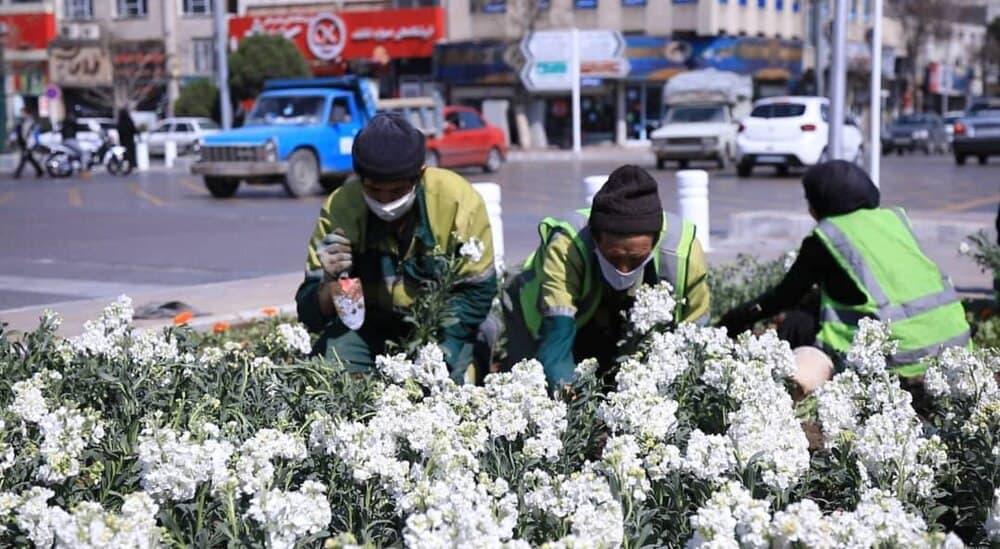 چهره بهاری شهر سمنان با کاشت ۲۹ هزار گل