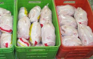 ۴۰۰ تن مرغ منجمد روز جمعه در مازندران توزیع شد
