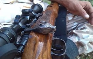 دستگیری ۴۰ شکارچی و صیاد غیر مجاز در شهرستان اقلید