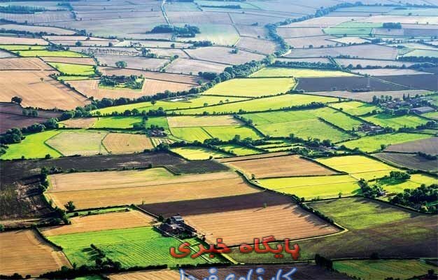 عملیات صدور سند تکبرگی برای اراضی ملی شهرستان میامی تکمیل شد عملیات صدور سند تکبرگی برای اراضی ملی شهرستان میامی تکمیل شد