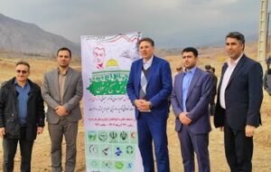 غرس چهار هزار اصله درخت زیتون به یاد شهدای غزه در الموت غربی